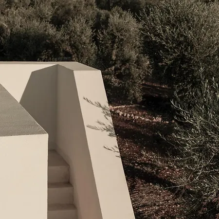 Casaluce, Design With Pool In *